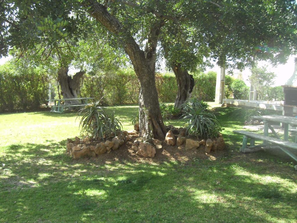 Tavira Garden Apartment Exterior foto